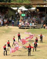 Visegrádi Nemzetközi Palotajátékok