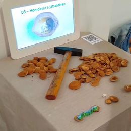 Mikro Csodák Múzeuma