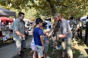 VII. Örökzöld Tisza Martfűi Fesztivál