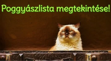 Utazáshoz poggyászlista - nem csak kempingezőknek!