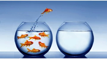 Keressük meg együtt a legolcsóbb megoldást