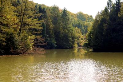 Budafai Arborétum