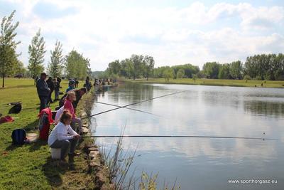 Ingyen peca a Tisza-tavon!