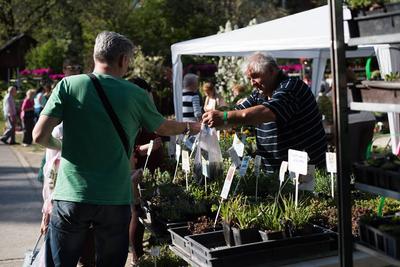 Tavaszkert Dísznövény 2019 Szakkiállítás és Vásár