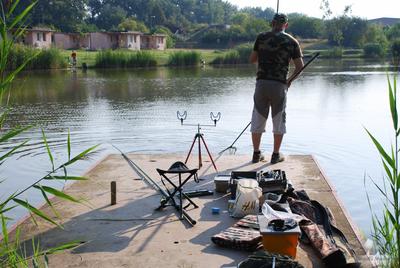 VII. Örökzöld Tisza Martfűi Fesztivál