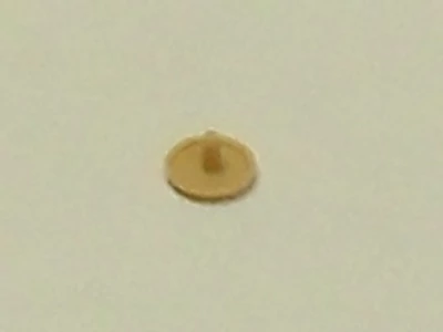 Csavartakaró gomb bükkdekor