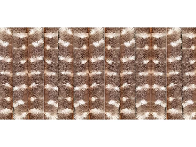 Bejárati függöny 56 x 185 cm barna/fehér