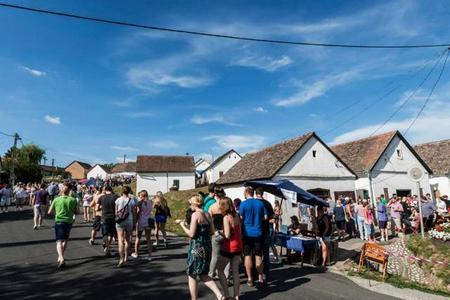 XXII. Palkonyai Pünkösdi Nyitott Pincék