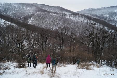 Királyréti tanösvény