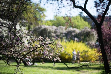 Tavaszkert Dísznövény 2019 Szakkiállítás és Vásár