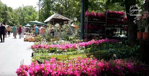 Gyulai Virágok Fesztiválja