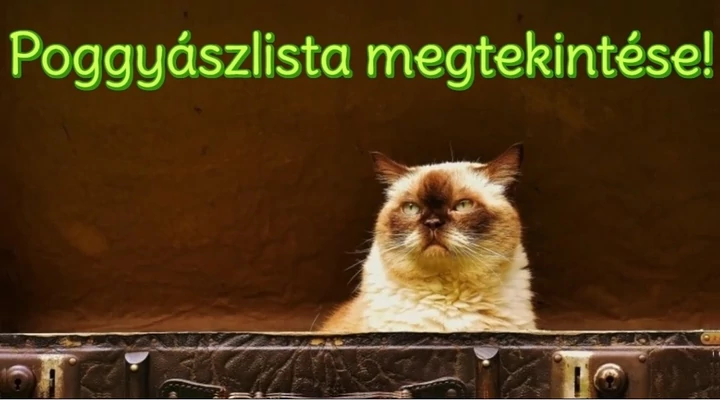 Utazáshoz poggyászlista - nem csak kempingezőknek!