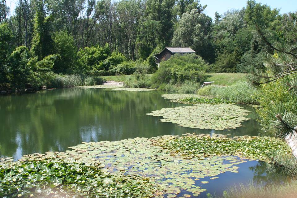 Tőserdei Kalandpark