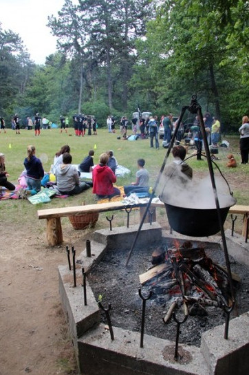 Gödöllői Erdészeti Arborétum