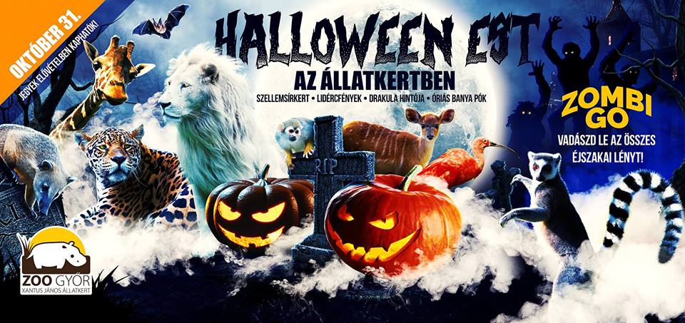 ZooZombi Go”, Halloween a győri állatkertben