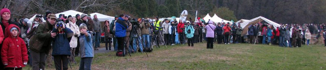 Tatai Vadlúd Sokadalom