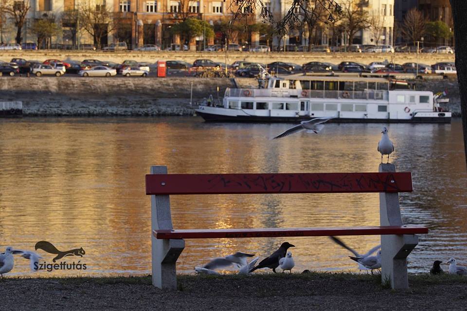 Szigetfutás, Szigeti Hendikep