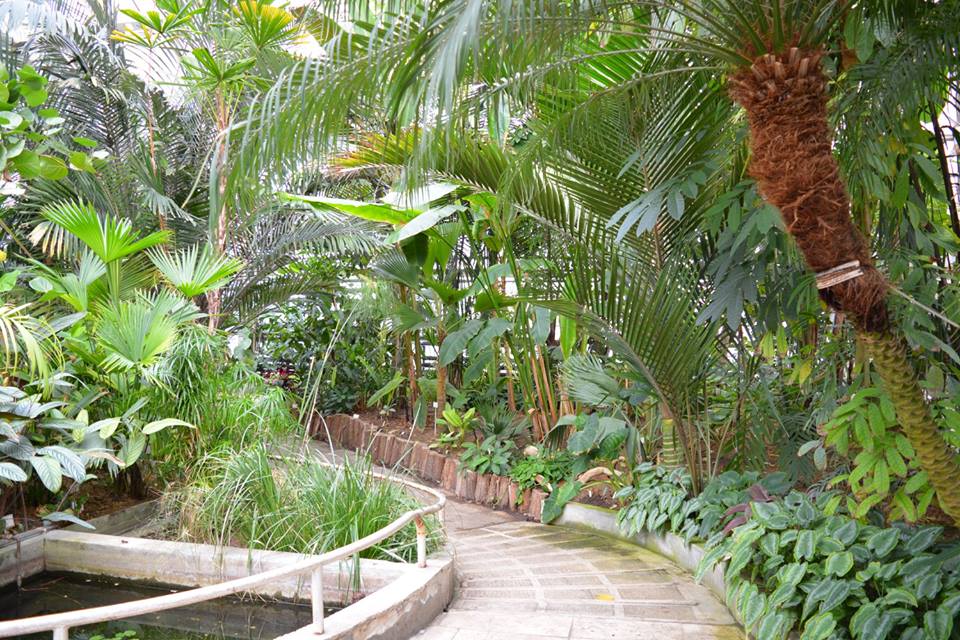 Nemzeti Botanikus Kert, Vácrátót