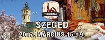 VIII. Szegedi Toros és Pálinkafesztivál