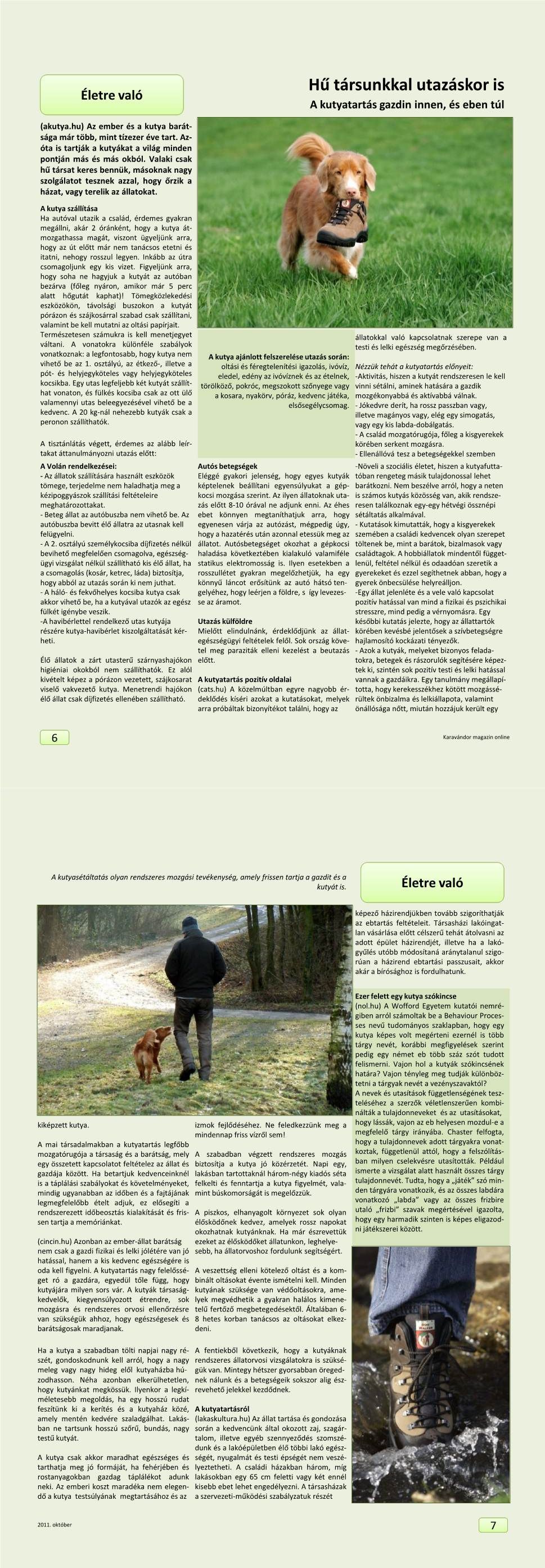 Életre való - Hű társunkkal utazáskor is